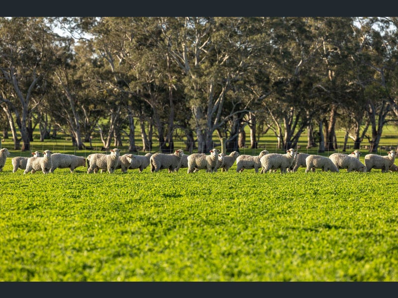 1204 Jessie Road, Naracoorte